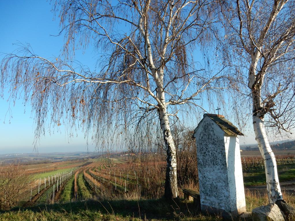 Pension Rudi - Weingut Kellner Hotel Pulkau Luaran gambar