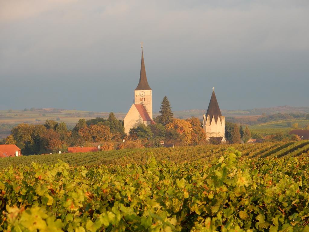 Pension Rudi - Weingut Kellner Hotel Pulkau Luaran gambar