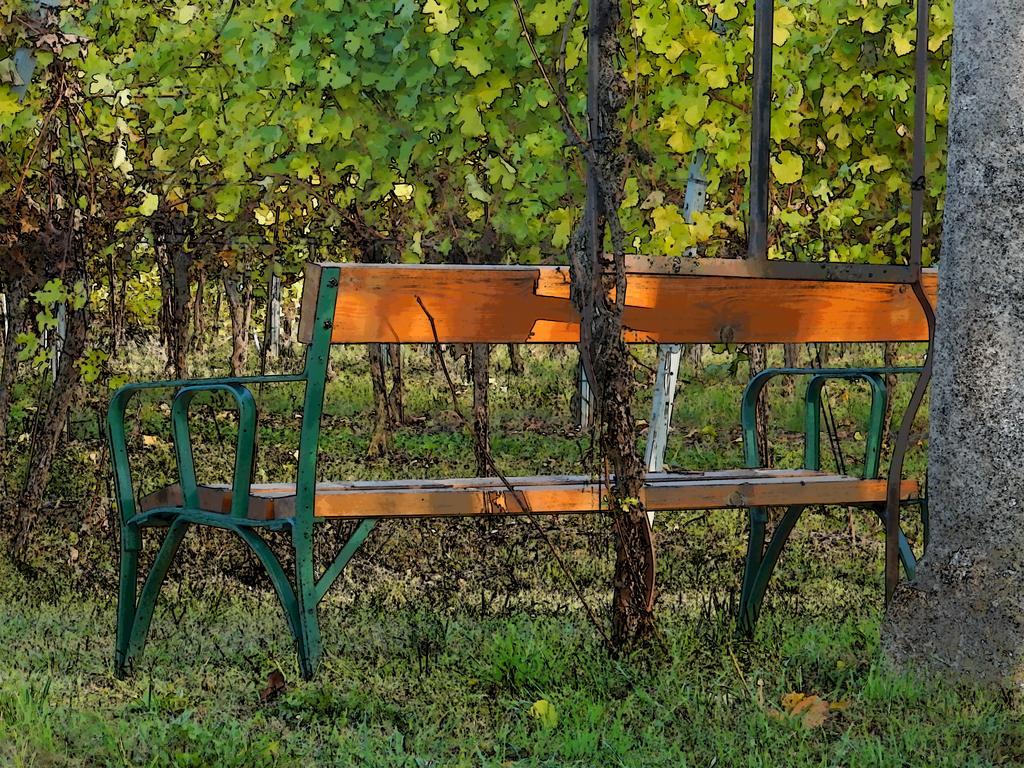 Pension Rudi - Weingut Kellner Hotel Pulkau Luaran gambar